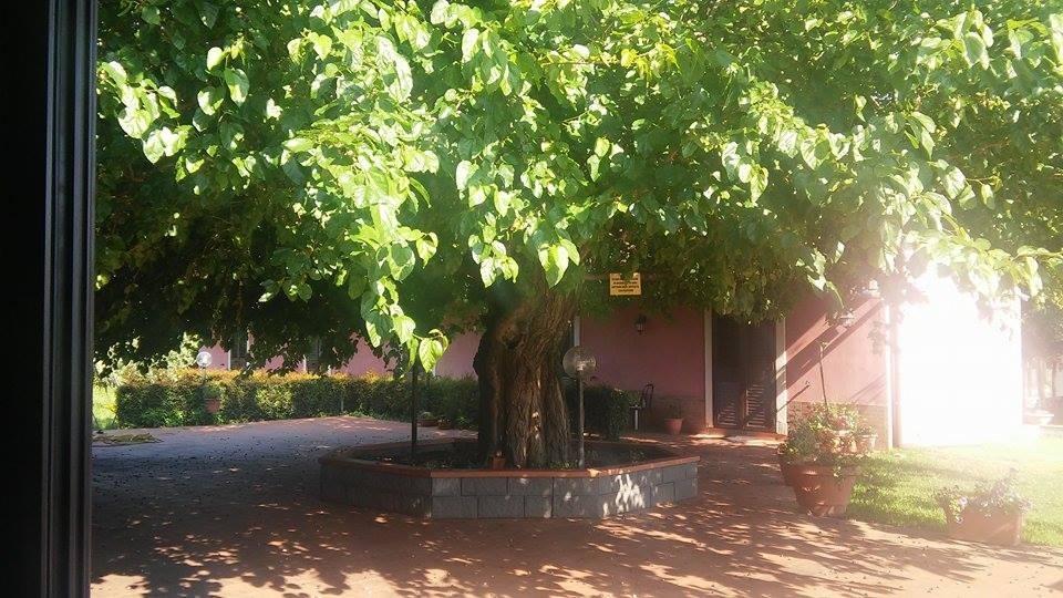 Agriturismo Il Pozzo Antico Маскали Экстерьер фото
