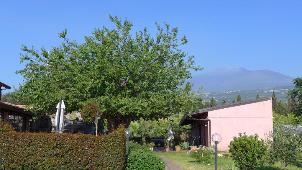 Agriturismo Il Pozzo Antico Маскали Экстерьер фото